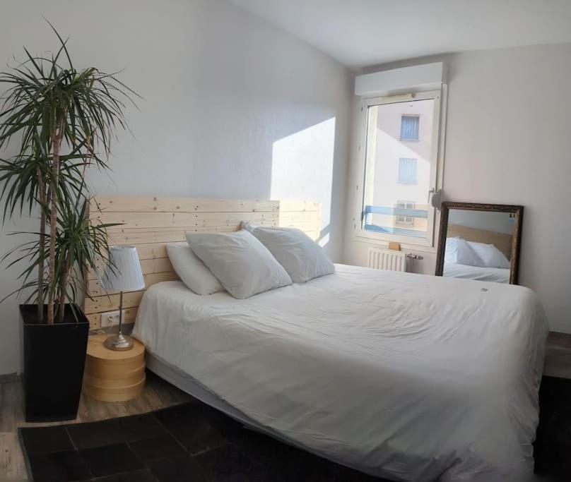 Le Cosy-Chic - T3 Balneo A Villeurbanne / Lyon 외부 사진